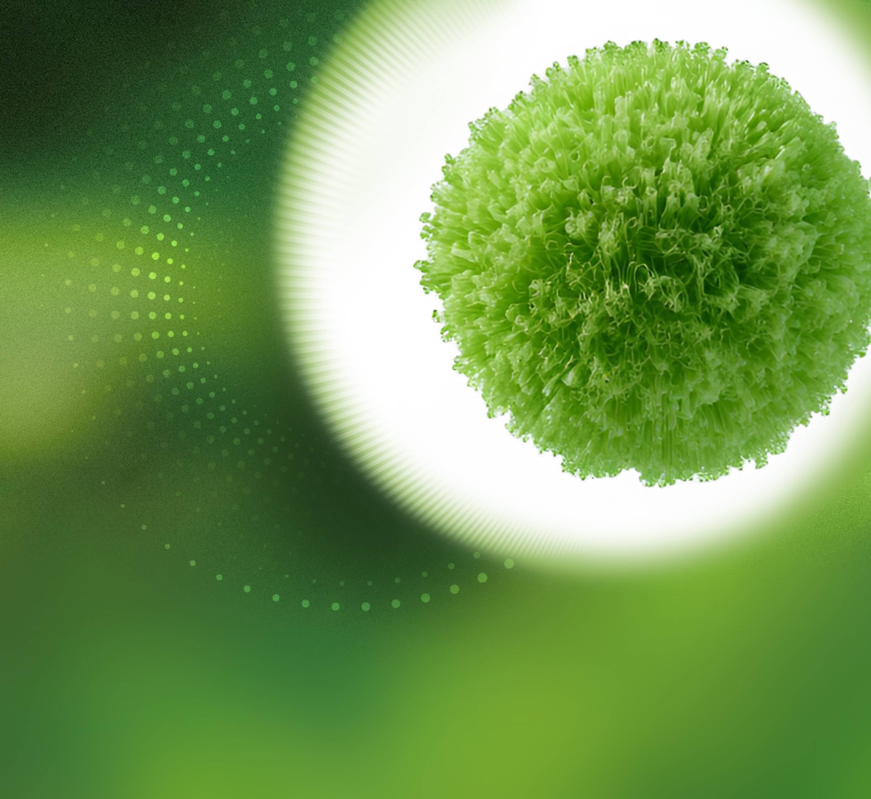 Exclusive raw materials